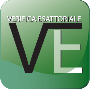 Studio Verifica Esattoriale Verifica Esattoriale